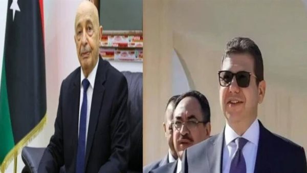 مصر تؤكد دعمها الكامل للحل الليبي-الليبي التوافقي